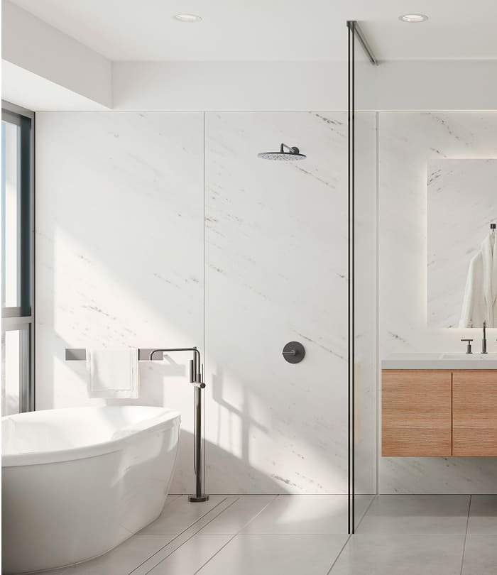 Bathroom Renovation Project Img